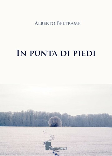 Punta piedi - punta,